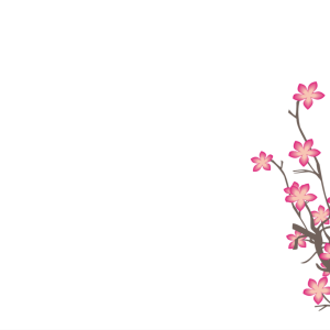 Sakura PNG