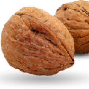 Walnut PNG