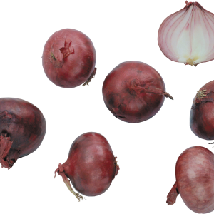 Onion PNG
