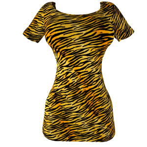 Dress PNG