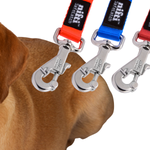 Leash PNG