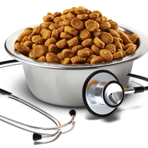 Dog food PNG