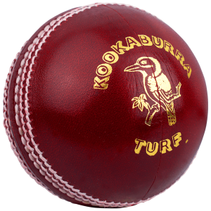 Cricket ball PNG