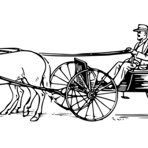 Carriage PNG