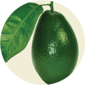 Avocado with leaf PNG