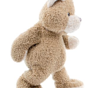 Teddy bear PNG