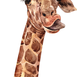 Giraffe PNG
