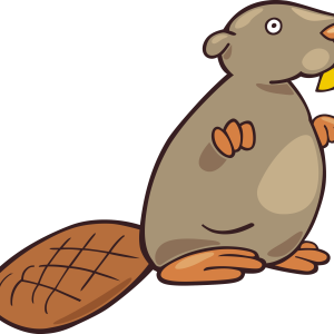 Beaver PNG