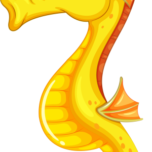 Seahorse PNG