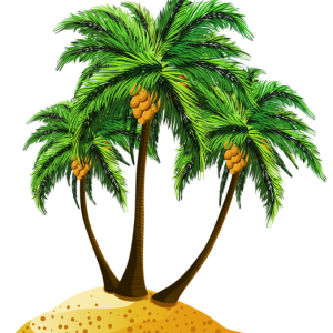 Beach PNG