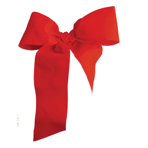 red ribbon bow PNG