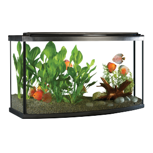 Aquarium PNG