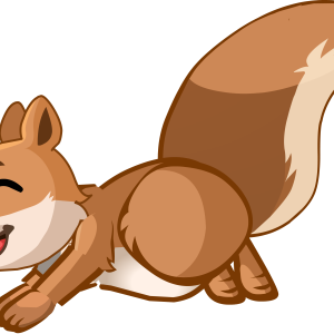 Squirrel PNG