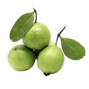 Guava PNG