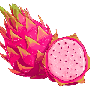 pitaya, dragon fruit PNG