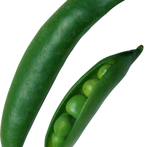 Pea PNG