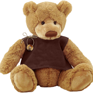 Teddy bear PNG
