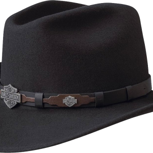Cowboy hat PNG