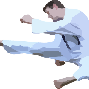 Karate PNG