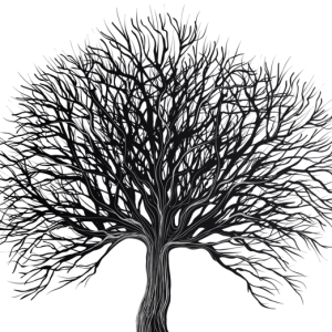 tree PNG