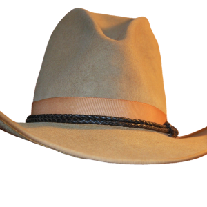 Cowboy hat PNG