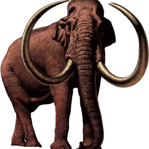 Mammoth PNG
