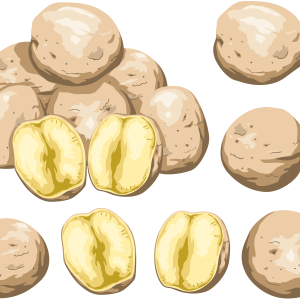 Cutted potatoes PNG