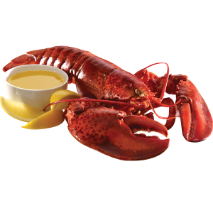 Lobster PNG