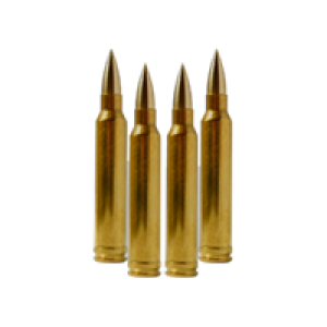 Bullets PNG image