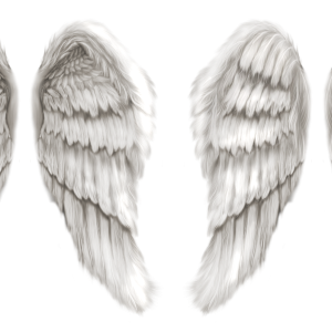 Wings PNG