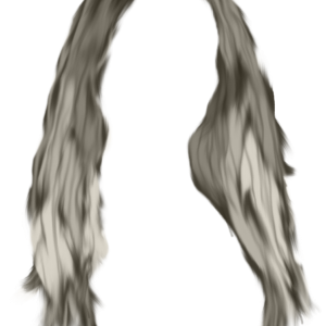 Hair wig PNG