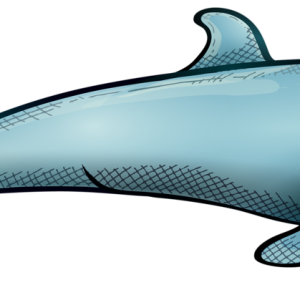 Dolphin PNG