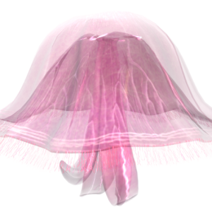 Jellyfish PNG