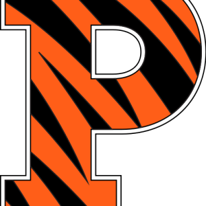 Letter P PNG