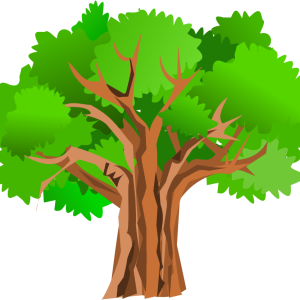 tree PNG