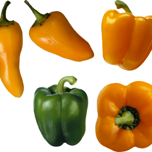 Pepper PNG image
