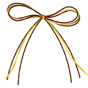 Shoelaces PNG