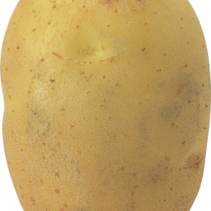 Potato PNG image