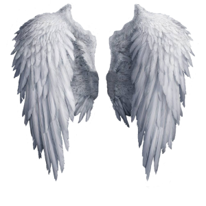 White angel wings PNG