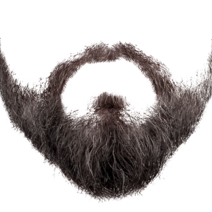Beard PNG image