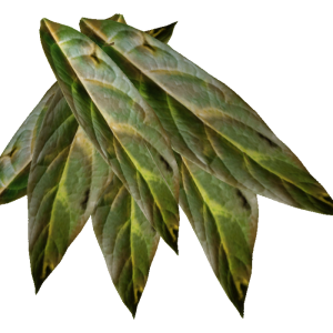 Tobacco PNG