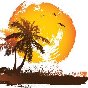 Palm tree PNG