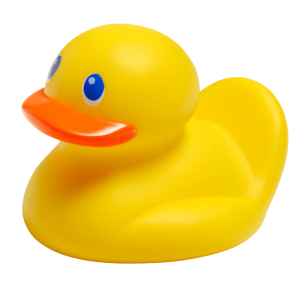 Rubber duck PNG