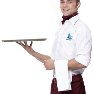 Waiter PNG