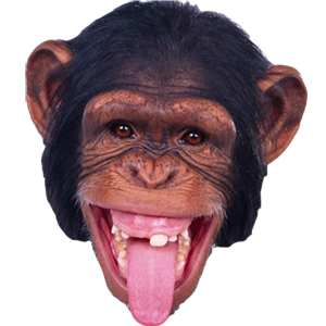 Monkey PNG
