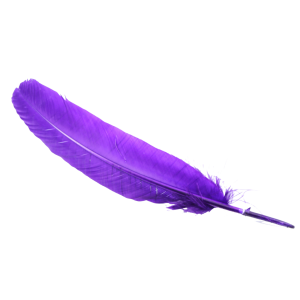 Feather PNG