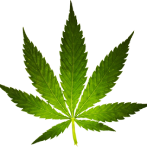 Cannabis PNG