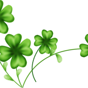 Shamrock PNG