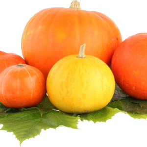 Pumpkin PNG