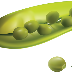 Pea PNG